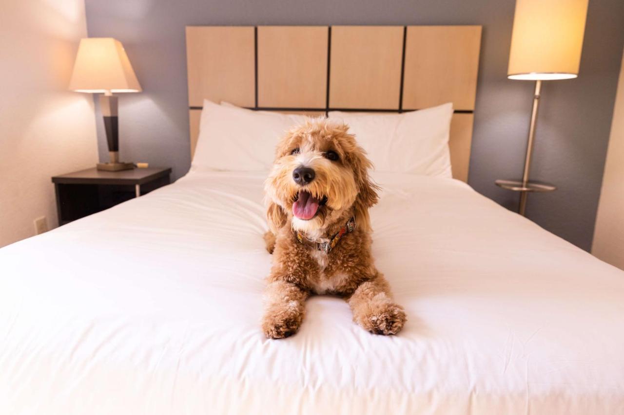 Sonesta Simply Suites Huntsville Research Park Eksteriør bilde